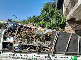 Best Property Management Cleanouts  in Utica, MI