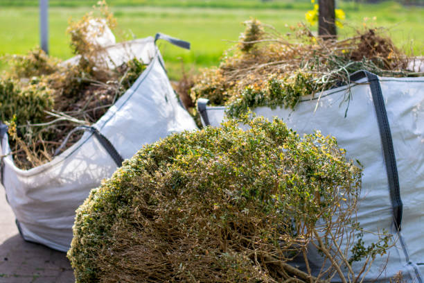 Best Yard Waste Removal  in Utica, MI